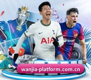玩加电竞官方网站 APP